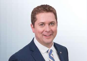 ANDREW SCHEER’S OFFICIAL PORTRAIT (Photo courtesy of  www.conservative.ca_