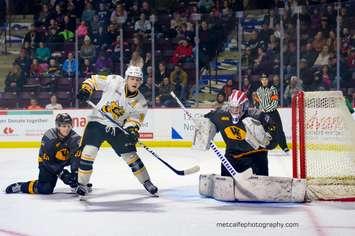 Sarnia Sting in Windsor on Feb 8, 2020. Photo courtesy of Metcalfe Photography. 