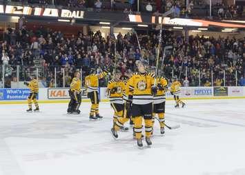 Sarnia Sting celebrate win over the Rangers Mar 14, 2018.  (Photo courtesy of Metcalfe photography)