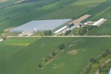 An aerial photo of an Enniskillen greenhouse facility that is to be converted to grow medical marijuana. (Handout.)