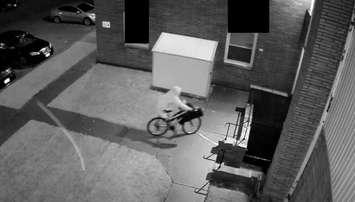 A suspect wanted in connection to a theft from a workshop on Vidal St S - Sept 22/21 (Photo courtesy of Sarnia Police Service)