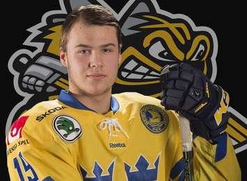 Hugo Leufvenius will join the Sarnia Sting for the upcoming season. (submitted photo)
