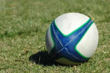 A white, green and blue Rugby ball lying on the lawn. (Photo courtesy of © Can Stock Photo / Ankevanwyk)