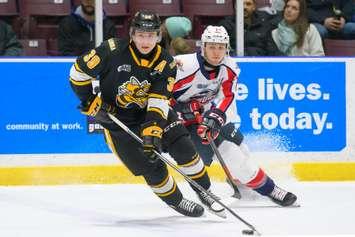 Sting vs Spitfires Feb. 7 / 20.Photo courtesy of Metcalfe Photography. 