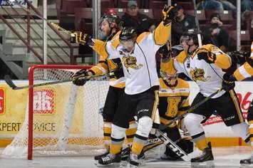The Sting celebrates a goal in Sunday's 4-3 win over Kingston.  (Photo courtesy of Metcalfe Photography)