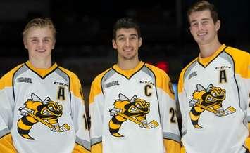 Drake Rymsha, Jordan Kyrou, and Connor Schlichting Will Wear Letters For The Sting In 2017-18 - Sept 29/17 (Photo Courtesy of Sarnia Sting)