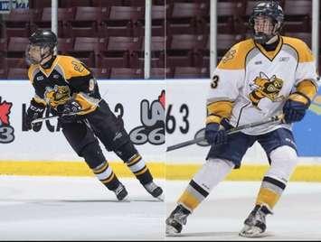 Sarnia Sting Rookies Jamieson Rees (L) and Colton Kammerer (R) - (Photo Courtesy of Sarnia Sting)