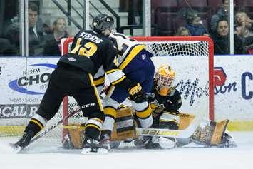 Sting vs Otters Jan 17 / 20. Photo courtesy of Metcalfe Photography. 