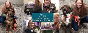 Gracie Wilson with the animals she supported at the Sarnia & District Humane Society. 