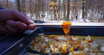 Maple taffy at the A.W. Campbell Maple Syrup Festival. March 2018. (Photo by St. Clair Region Conservation Authority)