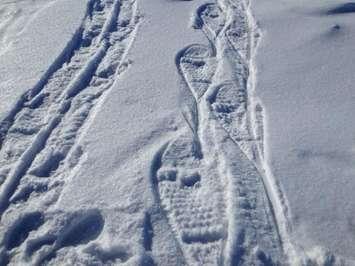 Snowshoe tracks left in the snow. (BlackburnNews.com file photo)