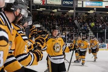 Ryan Mcgregor celebrates a goal against Sault Ste. Marie. (photo by Metcalfe Photography)