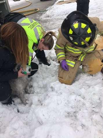 Sarnia Fire and Rescue Saved a Dog From a House Fire - Feb 8/18 (Photo courtesy of Sarnia Professional Firefighters Association via Twitter)