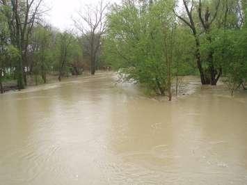Flooding. Photo courtesy of the St. Clair Region Conservation Authority.
