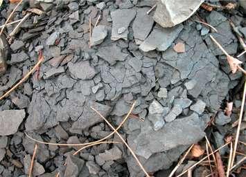 Shale Rock. (Photo submitted by the County of Lambton)