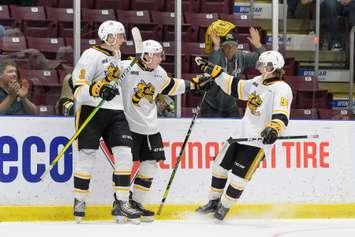 Sarnia Sting players celebrate a goal vs the Erie Otters.  November 7, 2021.  (Metcalfe Photography)