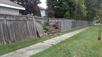 Damage to fence on Finch Dr. in Sarnia October 6, 2017 (Photo by Colin Gowdy)