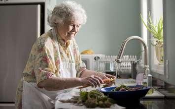 An elderly woman washing produce. (Photo from FreeStockPhotos.biz)