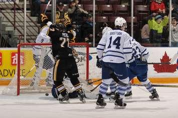 Stephen Pierog's goal was one of the few bright spots for the Sting in a 6-3 loss to Mississauga Sun Feb. 8, 2015 (photo courtesy of Metcalfe Photography)