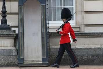 Royal guard at Buckingham Palace (BlackburnNews.com photo by Dave Dentinger)