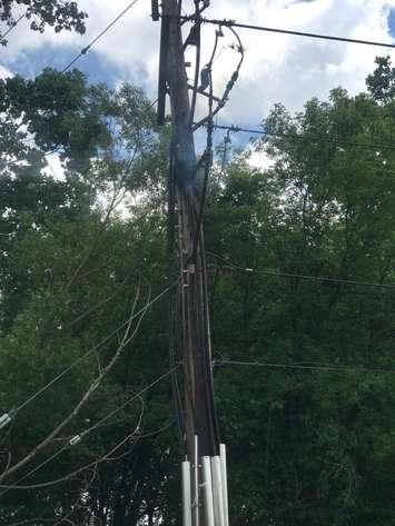 A hydro pole caught fire in Sarnia's north end - June 21/21 (Photo courtesy of Bluewater Power)