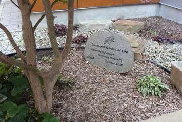 Bluewater Health's Transplant Garden of Life. (Submitted photo.)
