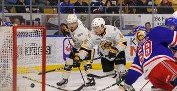 Sarnia Sting forwards Jacob Perreault and Jamieson Rees. (Photo by Metcalfe Photography)
