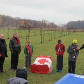 A ceremony Saturday Nov. 8, 2014 at Heritage Park marks the Boy Scouts' planting of 102 trees in memory of Sarnia's WW1 war dead. (Submitted photo)