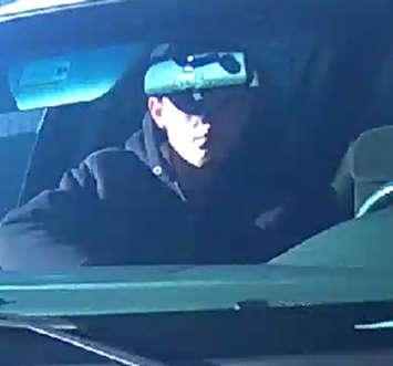 Photo of robbery suspect September 11, 2016. Photo submitted by Sarnia Police Service.