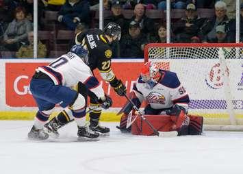 The Sarnia Sting vs. Saginaw - March 12/19 (Photo courtesy of Metcalfe Photography)