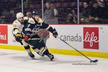 The Sarnia Sting take on the Windsor Spitfires, February 18, 2020. (Photo courtesy of Metcalfe Photography)