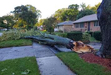 September 22, 2021 Storm Damage. Submitted photo by Dave LeClair.