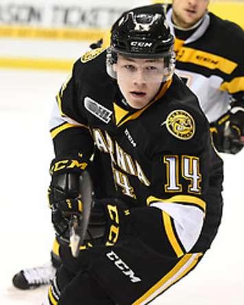 Brayden Guy of the Sarnia Sting. Photo by Aaron Bell/OHL Images