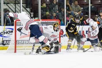 Sting vs Generals Jan. 10 / 20. Photo courtesy of Metcalfe Photography. 