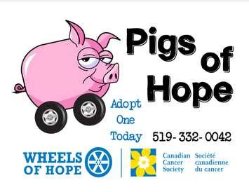 Pigs of Hope Posted. Photo submitted by Canadian Cancer Society.
