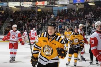 The Sarnia Sting celebrate a goal against the visiting Sault Ste. Marie Greyhounds (Metcalfe Photography)