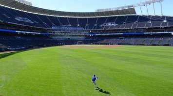 Toronto Blue Jays pitcher Marcus Stroman throws in the outfield of Kauffman Stadium in Kansas City prior to Game 1 of the American League Championship series on Friday, Oct. 16, 2015. THE CANADIAN PRESS/Neil Davidson