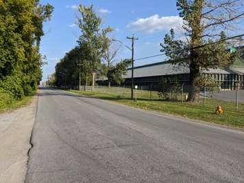 The end of Exmouth Street in Point Edward, the location of a proposed subdivision. September 2020. (BlackburnNews.com photo by Josh Boyce)