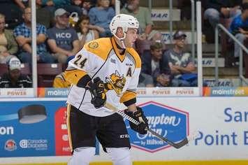 Sarnia Sting Defenceman Kevin Spinozzi (Photo Courtesy of Metcalfe Photography)