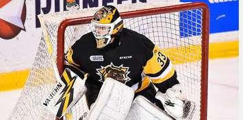 Brigden's Kaden Fulcher of the Hamilton Bulldogs. (Photo by Aaron Bell/OHL Images)