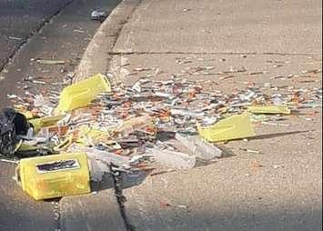 Hundreds of needles discarded on Sarnia sidewalk. Photo used with permission from "Take back our City from Meth, Fentanyl, and Pills" Facebook page. May 16/2018  