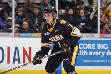 Sarnia's newly-acquired defenceman Nick Grima during the Sting's loss to London in Sarnia on Jan 1, 2017.  Grima was traded with six draft picks to Sarnia from the Peterborough Petes (Photo courtesy of Metcalfe Photography)