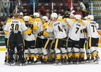 The Sarnia Sting celebrate after captain McGregor's OT winner over the Hounds Sept. 29, 2018 (photo courtesy of Metcalfe Photograph)
