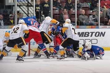The Sarnia Sting lost 6-3 to the Kitchener Rangers in OHL Play Nov 23-16 (Photo Courtesy of Metcalfe Photography)