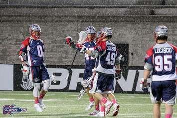 Sarnia's Kyle Jackson celebrates a goal with the MLL's Boston Cannons (Photo by Linehan Photography)
