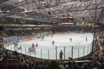 Progressive Auto Sales Arena during a Sarnia Sting home game (photo by Metcalfe Photography)