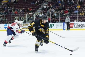 Sarnia Sting forward Theo Hill in a game versus the Windsor Spitfires. 15 March 2022.  (Metcalfe Photography)