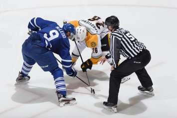Franco Sproviero facing off against Mississauga's Michael McLeod (Photo by Metcalfe Photography)