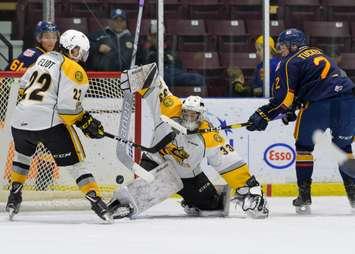 The Sting against Barrie Nov. 1, 2018 (Photo courtesy of Metcalfe Photography)