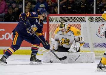 Justin Fazio makes a save against the Barrie Colts. (Metcalfe Photography)